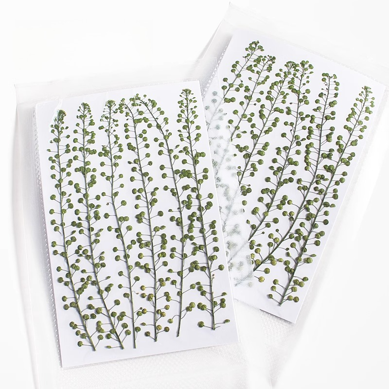 Natürliche Farbe, grüne Glocke – Resin Art Baby Bewertung und Preis
