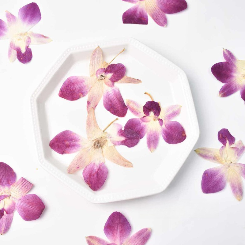 4 Stück, Echte Gepresste Schme – Resin Art Baby Bewertung und Preis